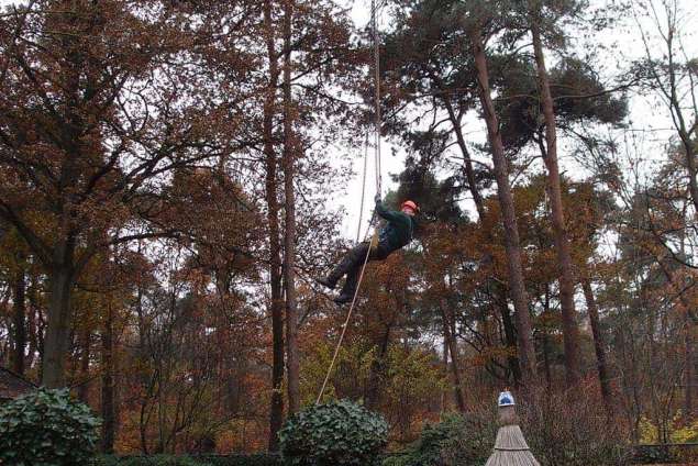 verwijderen en slopen van bomen uit de achtertuin